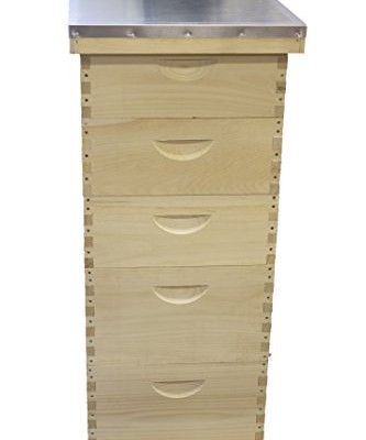 Valley-Bee-Supply-Beginners-Hive-Free-Shipping-0