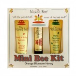 The-Naked-Bee-Orange-Blossom-Honey-Bee-Kit-3-Piece-Kit-0