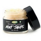 Lush-Mint-Julips-Lip-Scrub-MADE-IN-CANADA-SHIPS-FROM-USA-Georgia-0-0